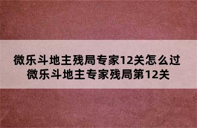 微乐斗地主残局专家12关怎么过 微乐斗地主专家残局第12关